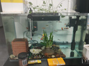千潯水族蛋白棉除黃水族魚(yú)缸專(zhuān)用過(guò)濾棉材料祛腥臭吸附樹(shù)脂去污力丸凈水寶 300g【內含網(wǎng)兜】 曬單實(shí)拍圖