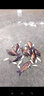 超大瓶裝主攻鯽魚(yú)鯉魚(yú)白條魚(yú)草魚(yú)羅非魚(yú)餌顆粒餌料野釣垂釣魚(yú)餌料 大瓶裝3000顆粒左右 直徑5mm 曬單實(shí)拍圖