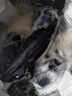 海爾（Haier）波輪洗衣機12公斤 25年新品全自動(dòng)家用大容量 一級能效 除螨洗+智能預約+清新?lián)Q風(fēng)XQB120-Z10X0 曬單實(shí)拍圖