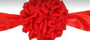酷依宝大红花球结婚开业绸带花球婚车头花装饰庆典剪彩揭幕红布退伍 实拍图