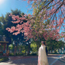皮爾卡丹漢服披風(fēng)斗篷女冬季2025新款白色長(zhǎng)款加絨加厚古裝超仙氣古風(fēng)披肩 白色斗篷【加絨加厚】 155 曬單實(shí)拍圖
