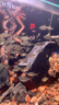 森森（SUNSUN）原生態(tài)溪流缸魚缸原生缸魚缸客廳超白玻璃底濾魚缸 靜謐黑-標(biāo)準(zhǔn)款 升級(jí)底濾（黑金筒燈） 119.2長47.6寬40缸高85柜高厘米 曬單實(shí)拍圖