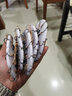 辰義翻板鉤盤(pán)鉤爆炸鉤釣魚(yú)鉤配件套裝釣組海桿拋竿鰱鳙翻版魚(yú)勾防掛底 線(xiàn)款24鉤款【5盤(pán)裝10付】 11號 曬單實(shí)拍圖