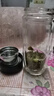 希樂(lè )玻璃杯雙層玻璃水杯高顏值男士商務(wù)辦公茶水分離杯便攜泡茶杯子 曬單實(shí)拍圖