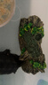 何健弓魚(yú)缸魚(yú)蝦躲避洞寵物躲避罐裝飾品樹(shù)脂小擺件水族箱造景烏龜爬臺洞 仿真樹(shù)皮-躲避洞 曬單實(shí)拍圖