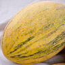 新疆特產(chǎn)正宗伽師八六王哈密瓜新鮮水果紋黃皮特級甜瓜禮盒 一箱2個(gè)瓜(8-12斤) 大果 曬單實(shí)拍圖