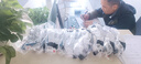 3M護(hù)目鏡騎行工業(yè)切割打磨10437 實(shí)驗(yàn)室液體防飛濺勞保防護(hù)眼鏡防霧防粉塵騎行防風(fēng)眼鏡防紫外線1副 1621AF防霧【防風(fēng)沙液體飛濺/通風(fēng)口設(shè)計(jì)】 曬單實(shí)拍圖