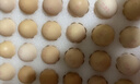 好念頭可生食雞蛋 60枚4.8斤無(wú)菌無(wú)抗生激素新生鮮土雞蛋中秋源頭直發(fā) 曬單實(shí)拍圖