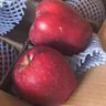裕農叔【JD順豐速發(fā)】進(jìn)口蛇果水果當季糖心紅蛇粉面平果丑蘋(píng)果 1000g凈重裝（顆顆嚴選） 商超A+級大果220-260g 曬單實(shí)拍圖
