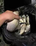 超聲波誘魚(yú)器黑科技聲納探魚(yú)器太陽(yáng)能萬(wàn)能進(jìn)口聲波聚魚(yú)劑捕魚(yú)神器 一個(gè)【誘光整條河】 曬單實(shí)拍圖