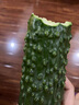 顏曼箐唐山市特產(chǎn)老蚧黃瓜新鮮山黃瓜大刺老芥黃瓜新鮮蔬菜老戒黃瓜 2000g 現(xiàn)摘現(xiàn)發(fā) 曬單實(shí)拍圖
