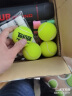 天龙（Teloon） 网球比赛训练习用球桶装P4高弹耐磨 TOUR POUND（4只/听）1箱24听 实拍图