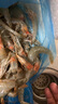 4斤海捕大蝦生鮮海鮮新鮮速凍特大冷凍基圍蝦鮮蝦海蝦對蝦白蝦 4斤裝(凈蝦2.8-3斤) 長(cháng)度11-13cm 曬單實(shí)拍圖