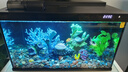 畫(huà)法幾何魚(yú)缸造景海綿寶寶菠蘿屋裝飾擺件仿真造景沉木魚(yú)缸水族箱造景 珊瑚造景套裝 曬單實(shí)拍圖