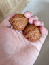 漫生活16L進(jìn)口營(yíng)養土通用型 種菜土養花土進(jìn)口泥炭土椰糠花卉有機土壤 曬單實(shí)拍圖