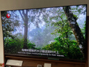 東芝電視小芝士Z600QF PRO 音畫雙芯MiniLED 火箭炮SOUND 300Hz 4K超清 以舊換新 家電國家補貼 75英寸 75Z600QF PRO 曬單實拍圖
