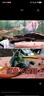 吉印刀鋒z魚(yú)缸燈增艷led燈潛水金魚(yú)紅龍魚(yú)血鸚鵡錦鯉羅漢增色燈全光譜 86cm增艷燈21W【86-95cm缸】 曬單實(shí)拍圖