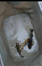 漁家傲釣黃顙魚(yú)餌料野釣昂刺魚(yú)餌專(zhuān)用黃骨魚(yú)窩料黃辣丁誘魚(yú)劑餌料添加劑 昂刺魚(yú)餌200克3包 曬單實(shí)拍圖