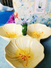 JOYYE水果盤(pán)糖果盤(pán)堅果盤(pán)三格陶瓷盤(pán)子高檔實(shí)用節日伴手禮物 繁花似錦-黃色 曬單實(shí)拍圖