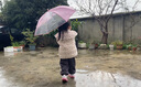 巴厘小豬女童冬季加厚保暖2024新款寶寶夾棉外套公主風(fēng)棉襖兒童 小櫻花 110 cm 曬單實(shí)拍圖