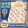 山姆大叔 山東萊陽(yáng)秋月梨【閃送-多地次日達】豐水梨子水果禮盒中秋送禮品 【貢品級-特級大果】單果400-500g｜冰糖甜 【送禮佳品】臻選 6枚 高檔禮盒裝 曬單實(shí)拍圖