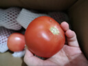 新鮮沙瓤大番茄生吃西紅柿減肥早餐即食新鮮蔬菜生鮮單果＞100g 家庭裝 4斤 帶箱 曬單實(shí)拍圖