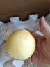 河北皇冠梨脆甜多汁皮薄肉厚水果生鮮產(chǎn)地直發(fā)冀果田1 凈重4斤裝 曬單實(shí)拍圖