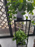 花架鐵藝多層陽(yáng)臺花架子室內綠蘿盆栽花盆架子吊蘭多功能落地北歐輕奢式 黑架黑盤(pán)高90寬30 單個(gè) 曬單實(shí)拍圖