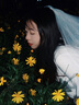 頭紗登記領(lǐng)證拍照道具新娘主婚紗結(jié)婚小婚紗復(fù)古求婚女高級(jí)感法式 白色雙層蝴蝶結(jié)長(zhǎng)約45cm[發(fā)梳款] 60cm-80cm 曬單實(shí)拍圖
