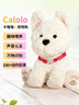 嚕咔博士Calolo卡嚕嚕AI寵物狗 AI對話(huà)陪伴機器人電子寵物智能玩具 Calolo卡嚕嚕AI寵物狗 曬單實(shí)拍圖