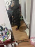 耐克   休閑女子長(zhǎng)款羽絨服保暖防風(fēng)外套 FD8213-010 S 曬單實(shí)拍圖