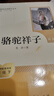 駱駝祥子（升級版）人教版名著(zhù)閱讀課程化叢書(shū) 七年級下冊 與25春新版初中語(yǔ)文教材配套使用（含微課，從教學(xué)角度講解名著(zhù)；含閱讀筆記本，提供測評指導幫助提升整本書(shū)閱讀能力） 曬單實(shí)拍圖