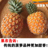 【2025現摘】香水菠蘿當季應季新鮮水果廣東湛江徐聞菠蘿 5斤大果  2-3顆裝 曬單實(shí)拍圖