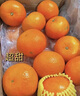 鮮其廣西沃柑新鮮大果整箱當(dāng)季皇帝砂糖柑橘水果禮盒中秋送禮 3斤精選大果嘗鮮裝 曬單實(shí)拍圖