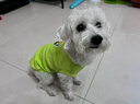 MIKI PAD狗狗衣服馬甲夏季薄款透氣可牽引寵物小型犬春秋貓衣服比熊西高地 抹茶馬卡龍背心 M胸圍42cm（建議5-8斤） 曬單實(shí)拍圖