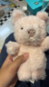 Jellycat小豬可愛(ài)公仔動(dòng)物毛絨玩偶小玩偶送禮娃娃生日新婚禮物 粉紅色 Little 曬單實(shí)拍圖