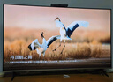 華為智慧屏 S6 55英寸 266Hz MiniLED鴻鵠畫(huà)質(zhì) 國家補貼一級能效 Mate XTs 投屏平板電視機HD55KULX 曬單實(shí)拍圖