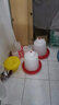 耐爾尼雞用自動(dòng)飲水器飲水桶小雞水桶水壺喂水飲水壺鴨鵝鴿子喝水水槽 30斤裝雞飲水桶 曬單實(shí)拍圖