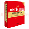 2025最新刑事訴訟法及司法解釋匯編（第五版 含指導案例） 曬單實(shí)拍圖