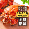 【活蟹】乾澄大閘蟹現貨 精選全母蟹3.0-3.3兩 8只 特大鮮活螃蟹去繩足重海鮮河蟹禮盒 曬單實(shí)拍圖