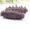 念參堂 即食海參長島大連刺參海鮮水產(chǎn) 單只裝 23-26g( 6-7厘米)：15只 曬單實拍圖