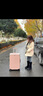 LEE鋁框拉桿箱新款皮把手行李箱小型登機箱女輕便密碼旅行箱皮箱子男 粉色卡扣-皮把手 24英寸 【Lee嚴苛品質(zhì)+防刮磨砂】 曬單實(shí)拍圖