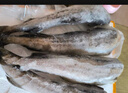 曼小伍去頭鱈魚(yú)新鮮速凍明太魚(yú)新鮮狹鱈魚(yú)野生鱈魚(yú)段免處理整箱 去頭明太魚(yú)【去內臟 免處理】2斤 曬單實(shí)拍圖