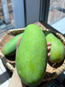 憶京源越南大青芒青皮芒果精選大果肉厚核薄香甜多汁新鮮水果生熟兩吃 5斤精選特大果 源頭直供 曬單實(shí)拍圖