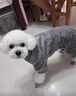 狗狗衣服秋冬潮流可牽引寵物工裝四腳衣泰迪比熊博美小型犬背帶褲 灰色四腳衣可牽引 S建議2-4斤具體參考胸圍背長(cháng) 曬單實(shí)拍圖