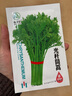 矮生紅番茄種子奶白菜上海青光桿茼蒿割茬茴香黃心烏塌菜種籽菜籽 光桿茼蒿種子10克 曬單實(shí)拍圖