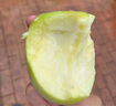 玫梔藏區阿壩州小金蘋(píng)果四川青蘋(píng)果青森水蜜桃中秋節新鮮水果禮盒 4.5斤中大果（約12個(gè)） 曬單實(shí)拍圖