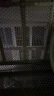 漫德莱阳台防护网 防坠塑料网围栏网护栏防猫网儿童隔离封窗网1.2*4米长 实拍图