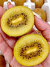 兮柔四川蒲江黃心獼猴桃 黃金奇異果金果獼猴桃新鮮水果現摘整箱禮盒 20個(gè)中果【單果70-90g】 曬單實(shí)拍圖