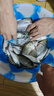 龍王恨魚(yú)餌藍鯽青春版六蟲(chóng)腥香餌料黑坑野釣鯽魚(yú)鯉魚(yú)草魚(yú)鳊魚(yú)餌料魚(yú)食料 藍鯽青春版-六蟲(chóng)腥香(300g)*2 曬單實(shí)拍圖